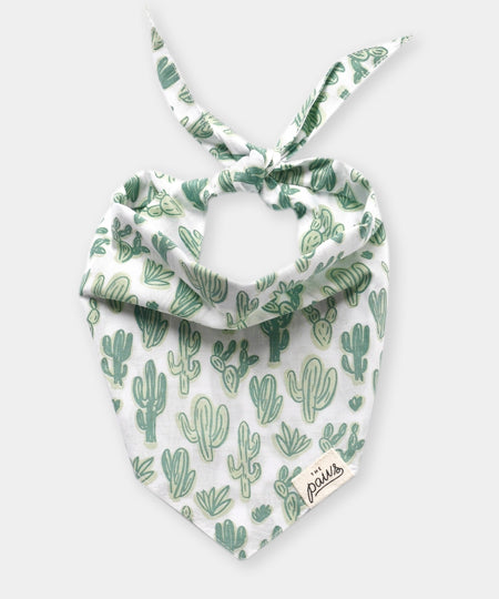 The-Paws-bandana-pour-chien-Yucca-Cactus