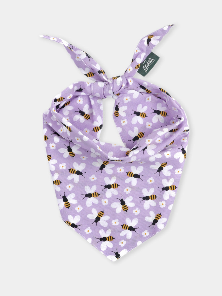 The-Paws-bandana-pour-chien-abeille-violet