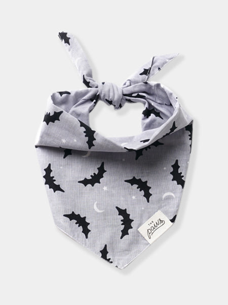    The-Paws-bandana-pour-chien-bats-chauve-souris