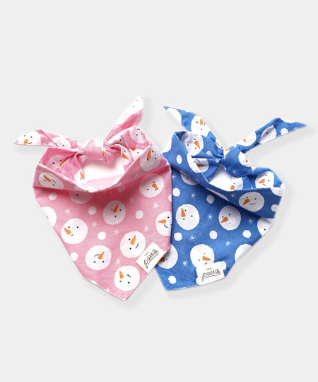        The-Paws-bandana-pour-chien-bonhomme-de-neige-Snowball