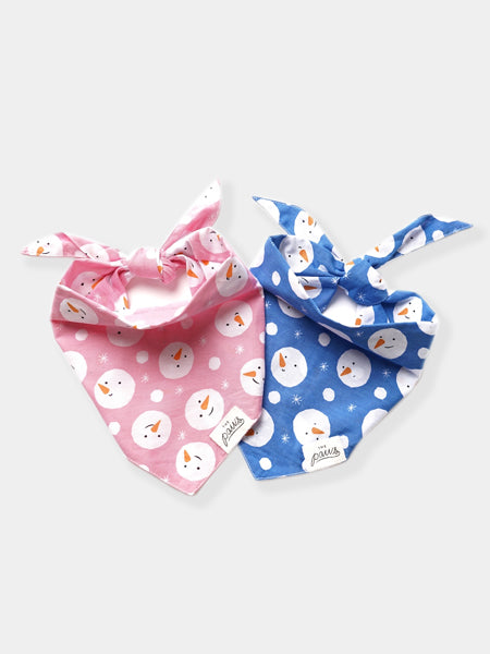        The-Paws-bandana-pour-chien-bonhomme-de-neige-Snowball