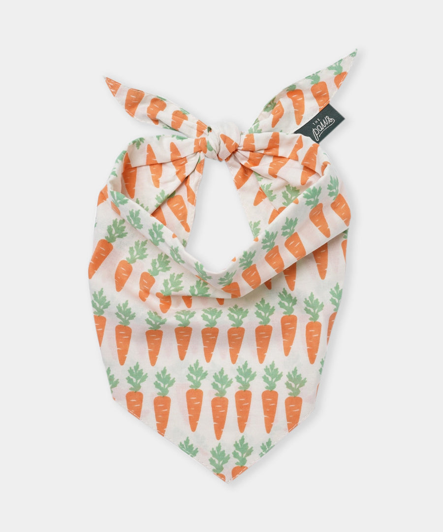 The-Paws-bandana-pour-chien-carotte-crunch