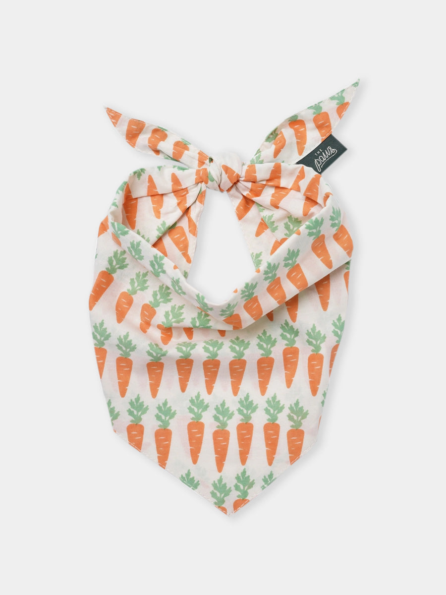 The-Paws-bandana-pour-chien-carotte-crunch
