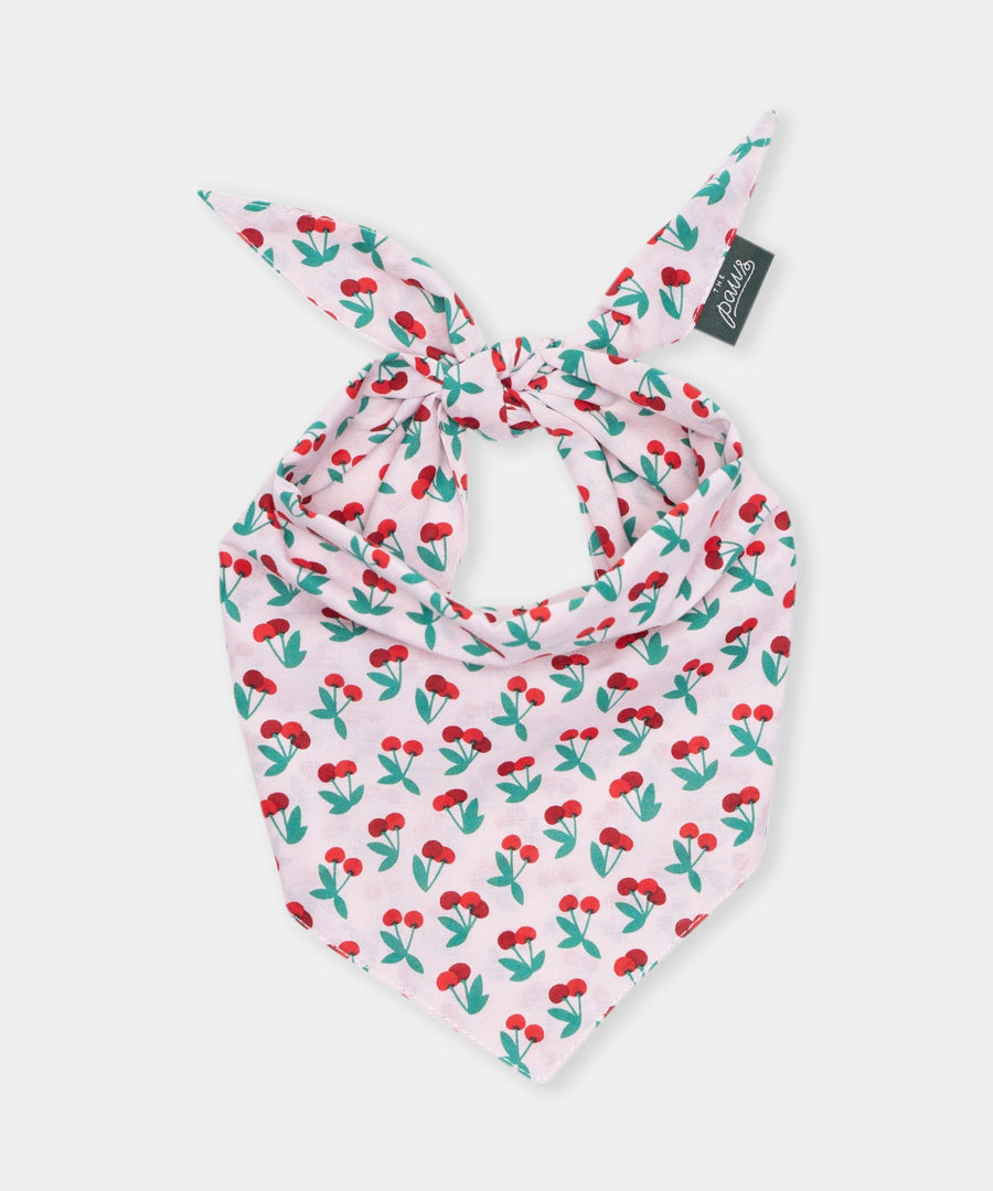 The-Paws-bandana-pour-chien-cerise
