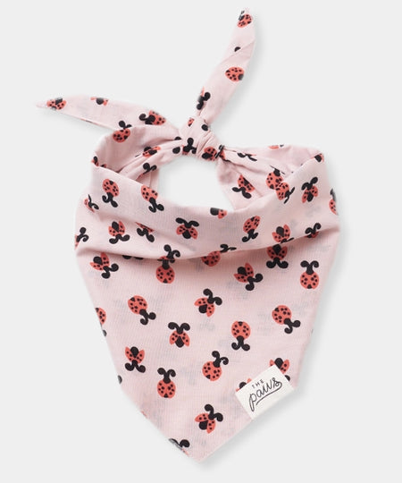 The-Paws-bandana-pour-chien-coccinelle-LoveBug