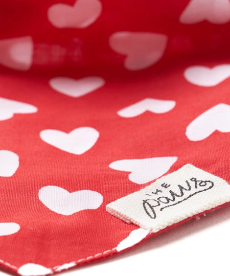 The-Paws-bandana-pour-chien-coeur-rouge-nana