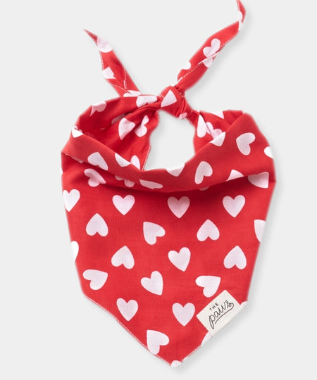 The-Paws-bandana-pour-chien-coeur-rouge-nana