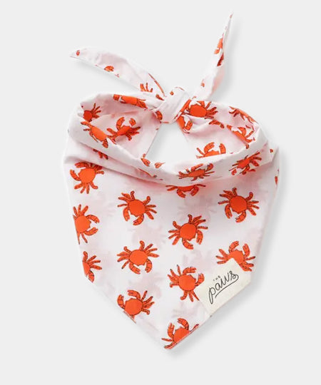    The-Paws-bandana-pour-chien-crabe-Shore