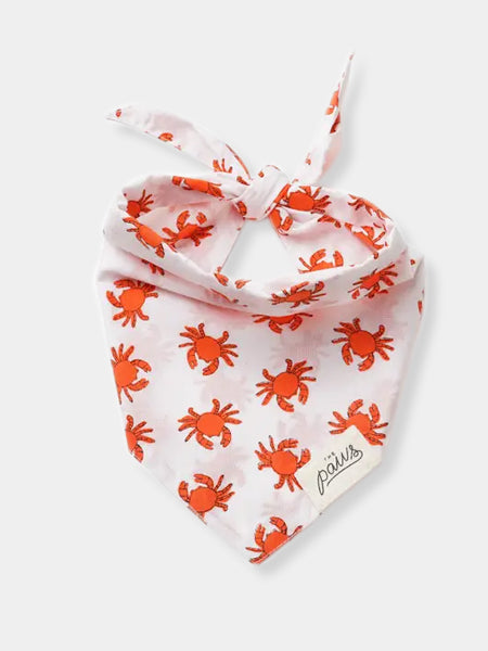    The-Paws-bandana-pour-chien-crabe-Shore