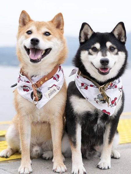        The-Paws-bandana-pour-chien-dog-dad