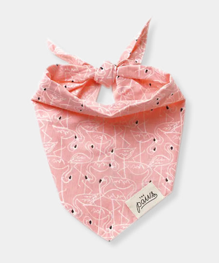 The-Paws-bandana-pour-chien-flamant-rose-Key-West