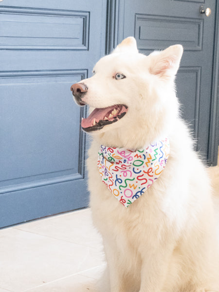        The-Paws-bandana-pour-chien-fun