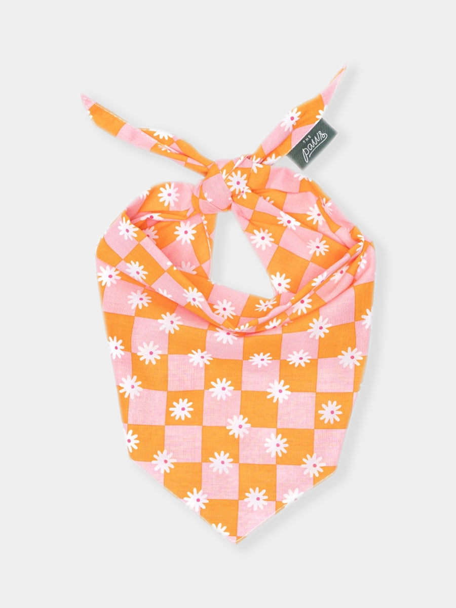 The-Paws-bandana-pour-chien-hula
