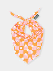 The-Paws-bandana-pour-chien-hula