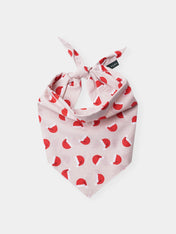 The-Paws-bandana-pour-chien-jolly-chapeau-noel