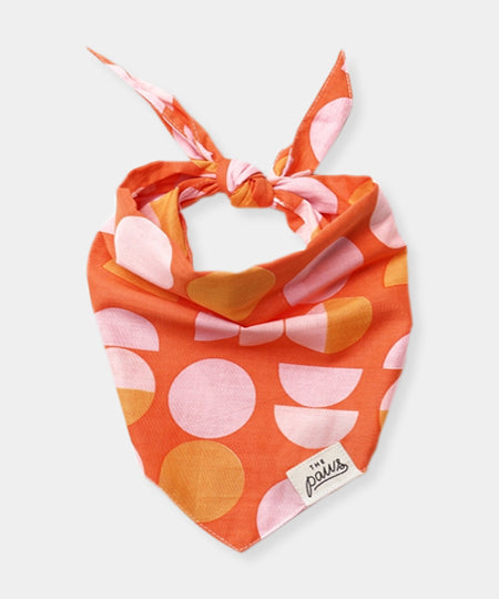      The-Paws-bandana-pour-chien-judy