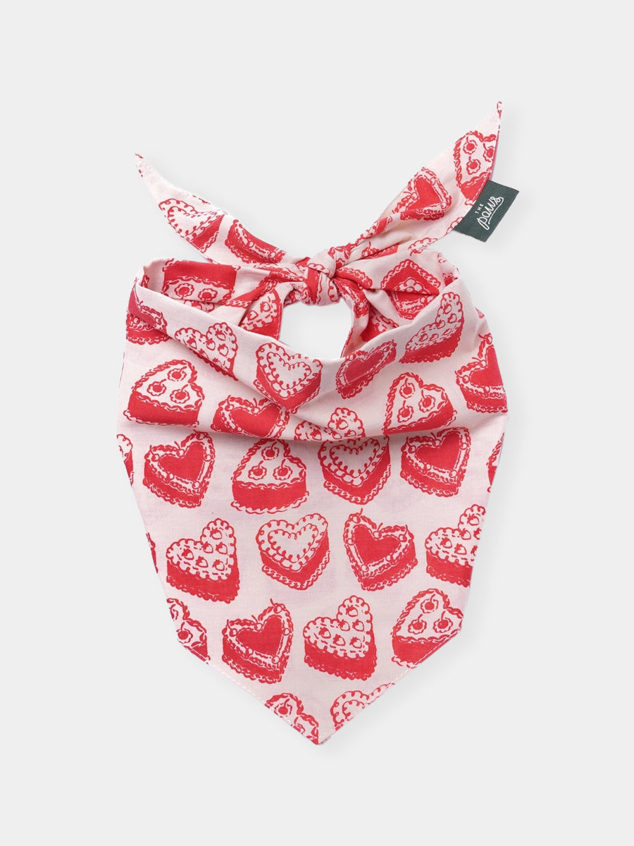 The-Paws-bandana-pour-chien-kate
