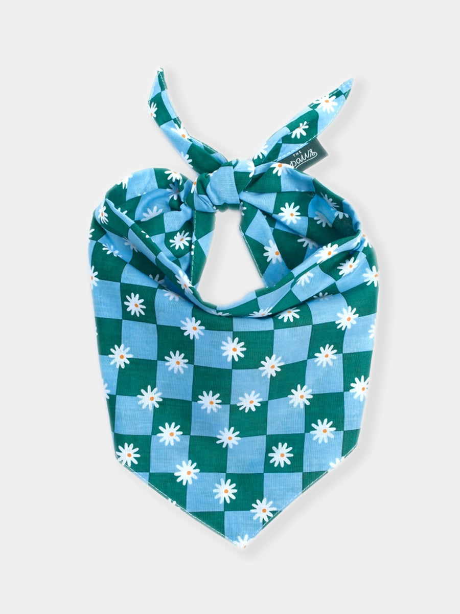The-Paws-bandana-pour-chien-koa