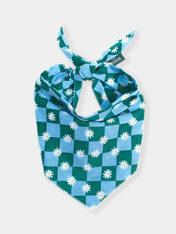 The-Paws-bandana-pour-chien-koa