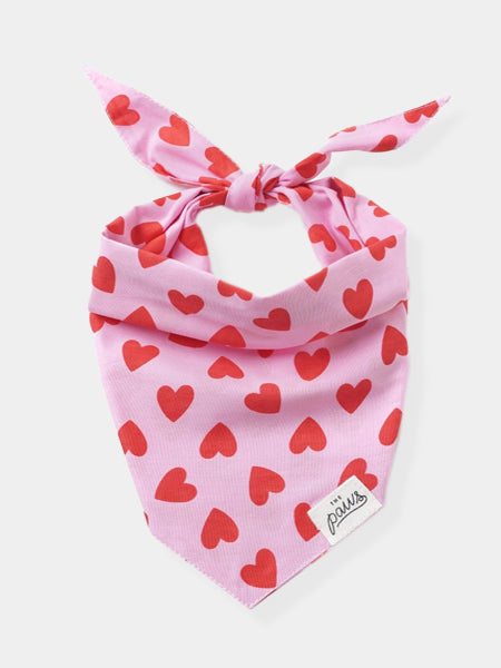 The-Paws-bandana-pour-chien-love-story