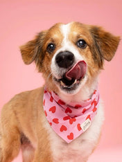 The-Paws-bandana-pour-chien-love-story