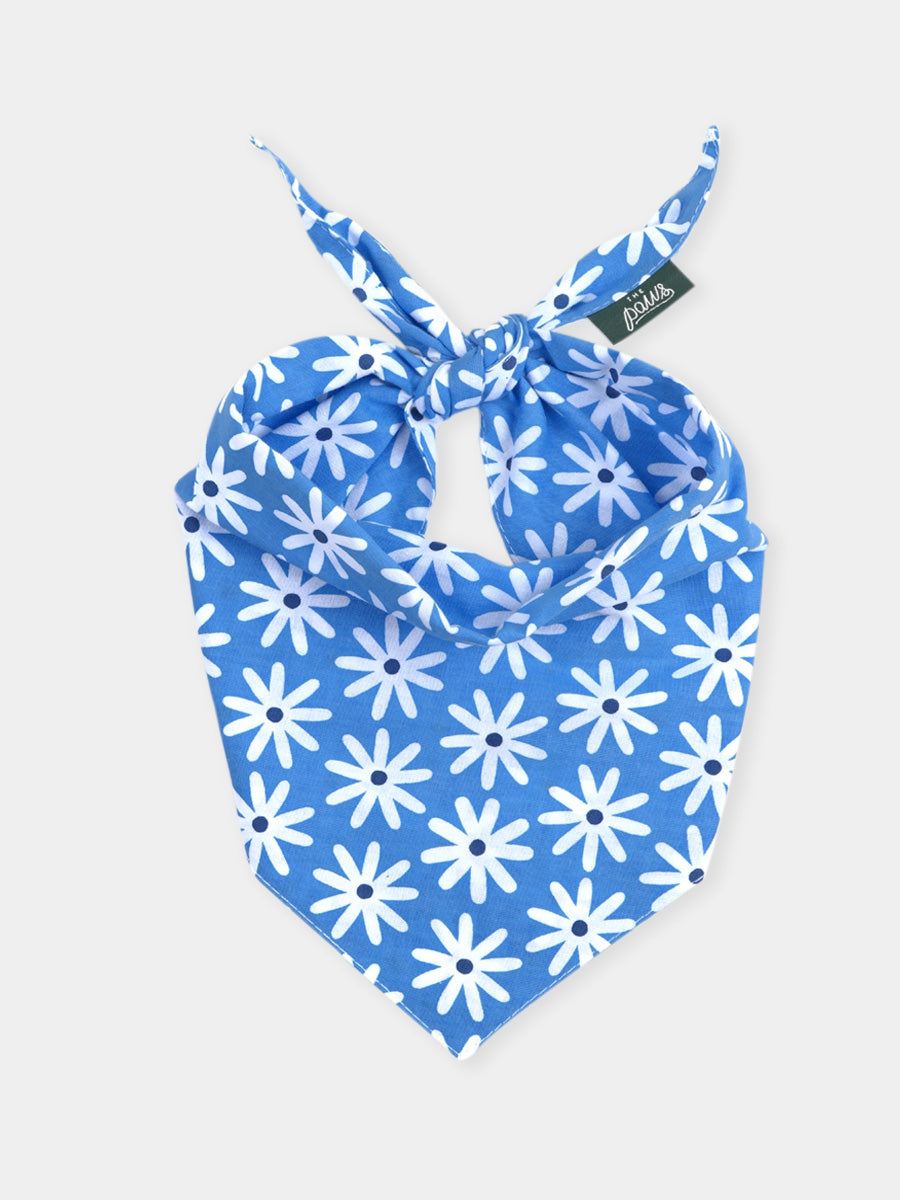 The-Paws-bandana-pour-chien-lyla-fleur-bleu