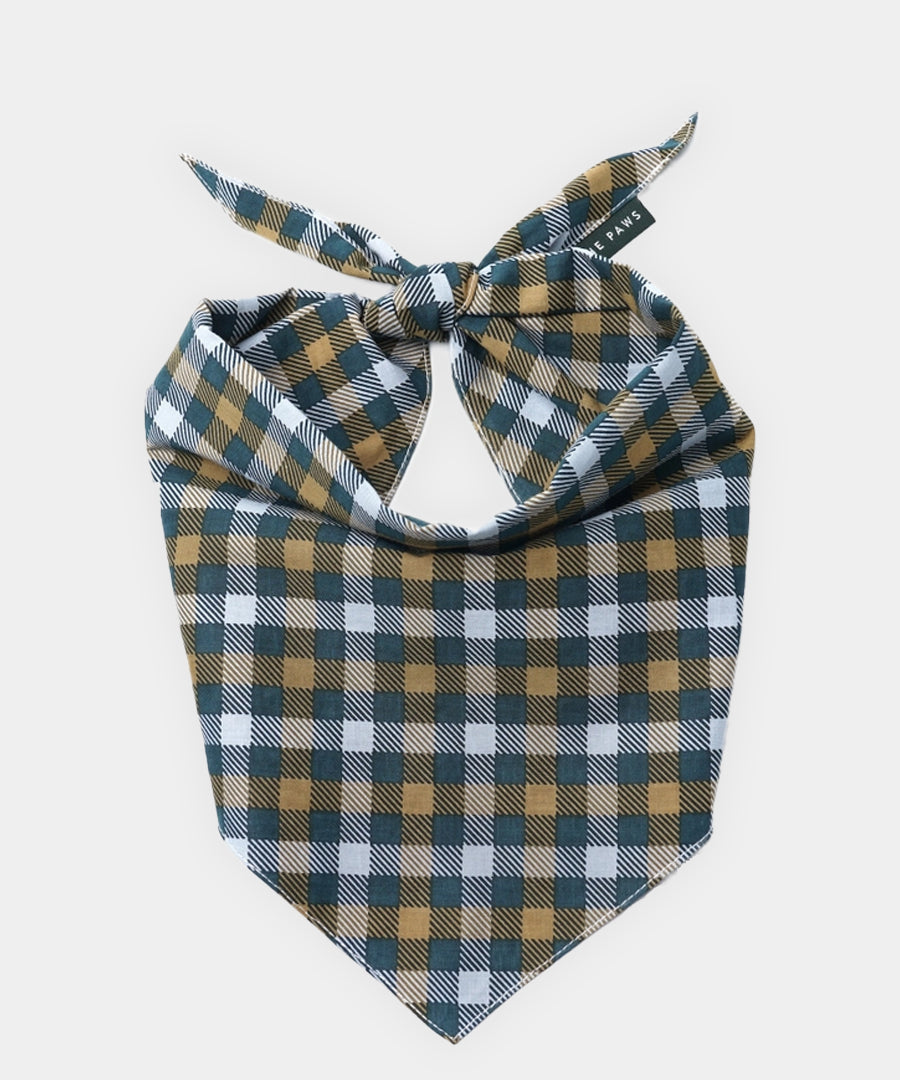 The-Paws-bandana-pour-chien-maple