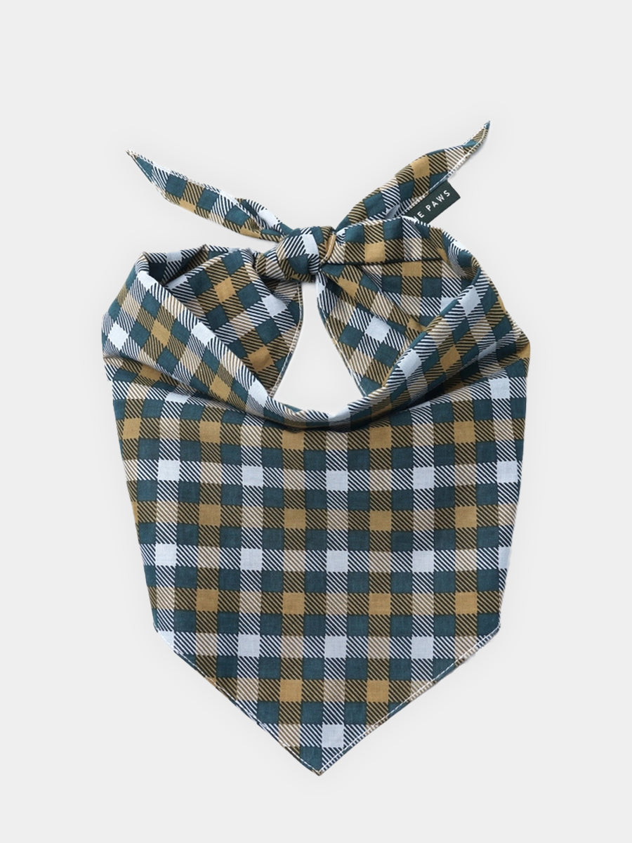 The-Paws-bandana-pour-chien-maple