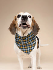 The-Paws-bandana-pour-chien-maple