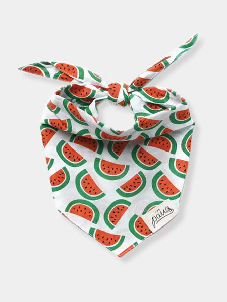       The-Paws-bandana-pour-chien-melon-pasteque