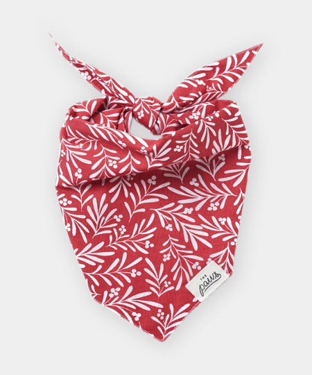 The-Paws-bandana-pour-chien-noel-houx