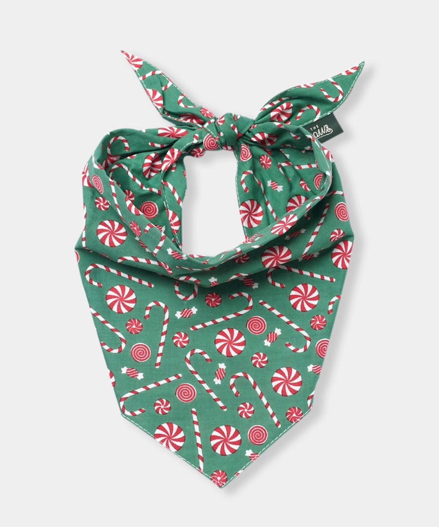 The-Paws-bandana-pour-chien-noel-sugar