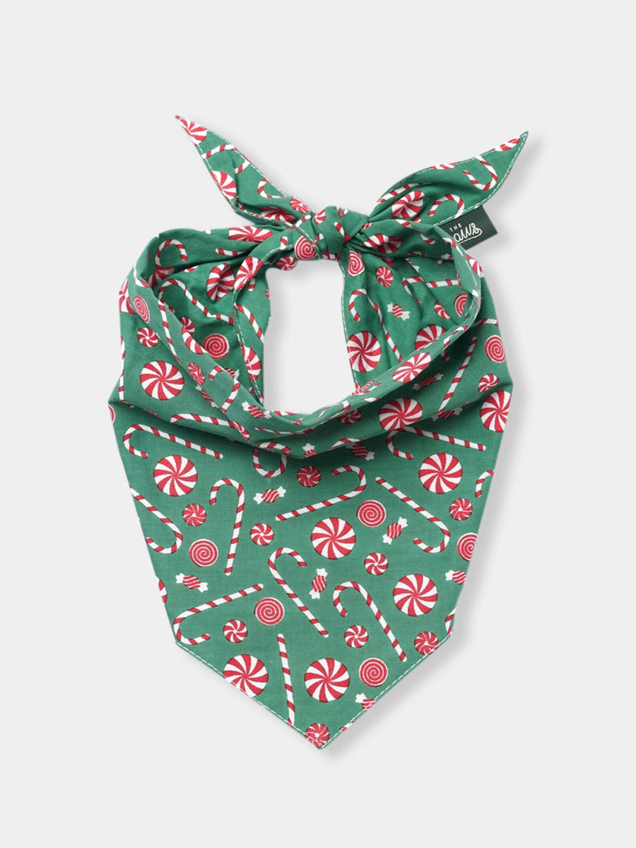 The-Paws-bandana-pour-chien-noel-sugar