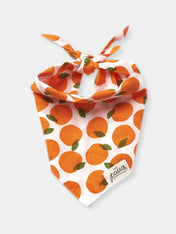 The-Paws-bandana-pour-chien-orange-Fresh-Pick