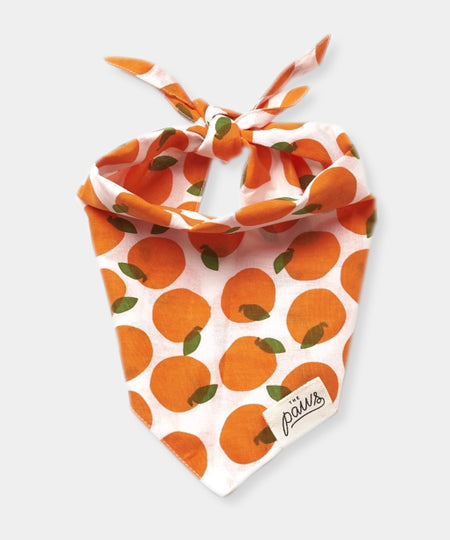 The-Paws-bandana-pour-chien-orange-Fresh-Pick