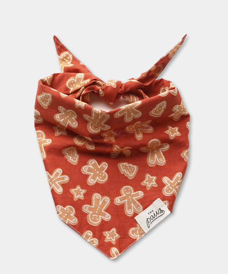       The-Paws-bandana-pour-chien-pain-epice-spice