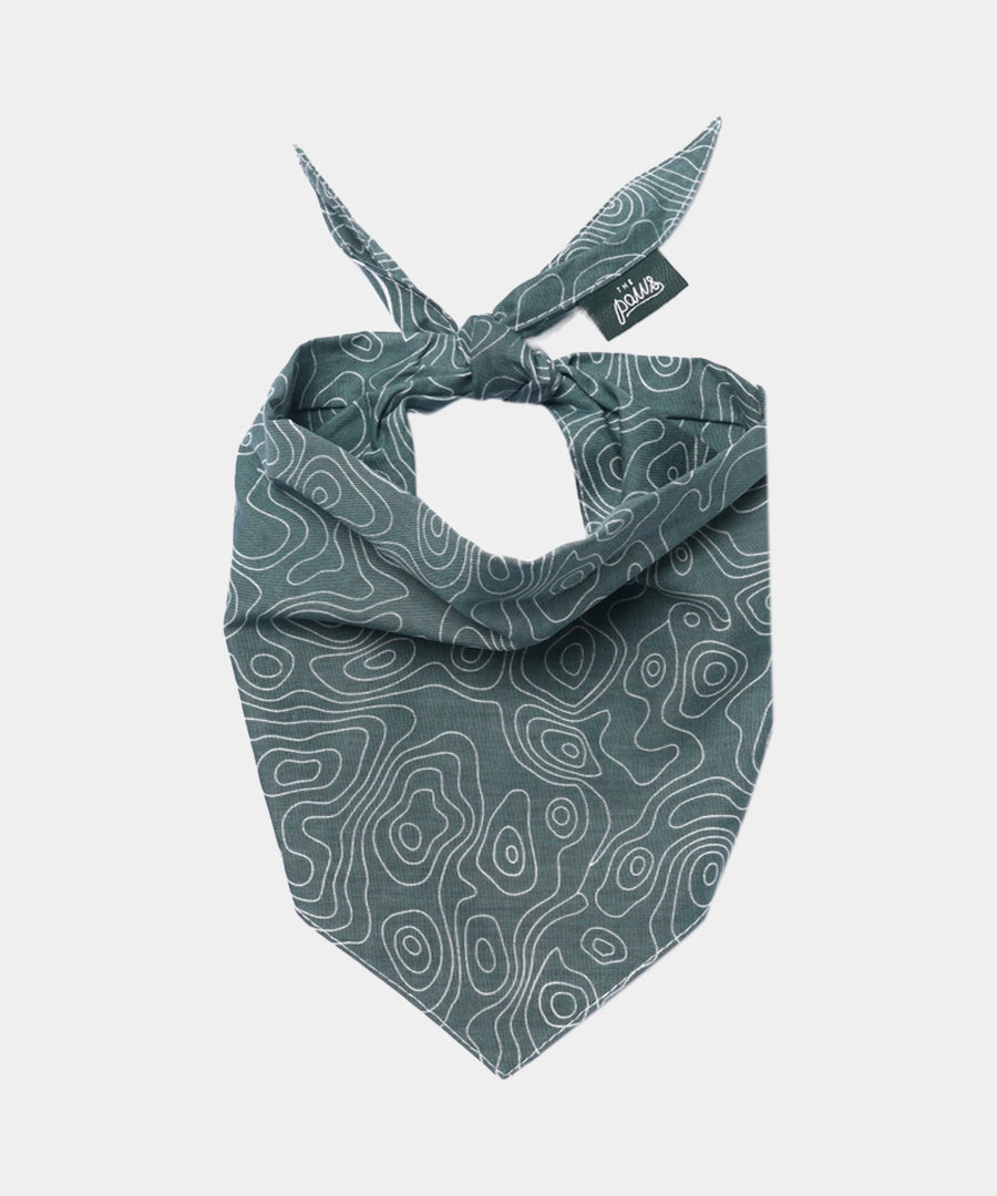 The-Paws-bandana-pour-chien-parks