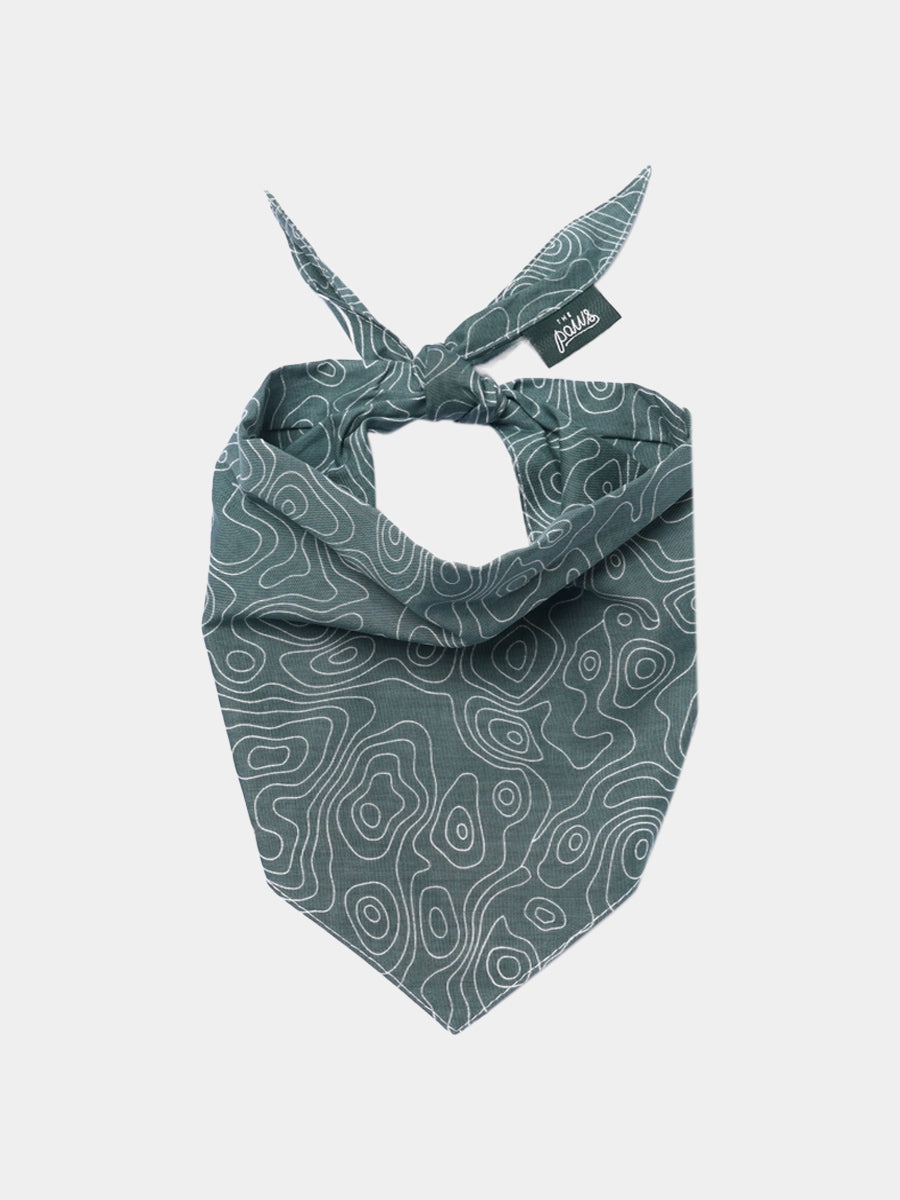 The-Paws-bandana-pour-chien-parks