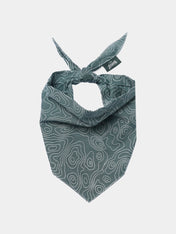 The-Paws-bandana-pour-chien-parks