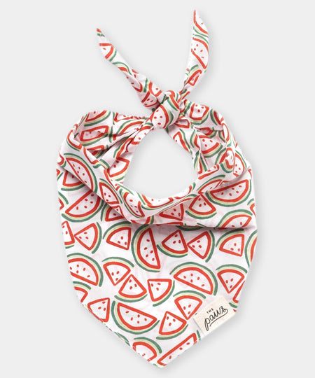 The-Paws-bandana-pour-chien-pasteque