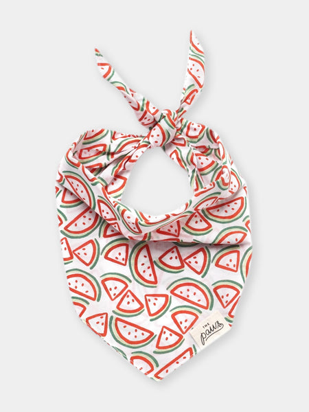 The-Paws-bandana-pour-chien-pasteque
