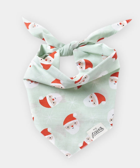 The-Paws-bandana-pour-chien-pere-noel