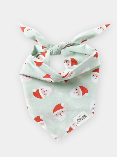 The-Paws-bandana-pour-chien-pere-noel