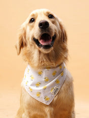     The-Paws-bandana-pour-chien-poussin