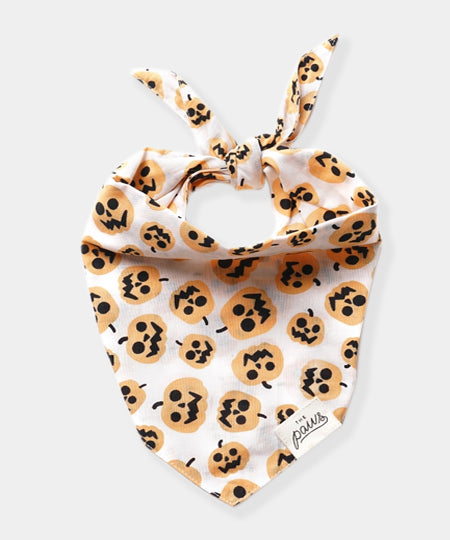       The-Paws-bandana-pour-chien-pumpkin-citrouille-halloween
