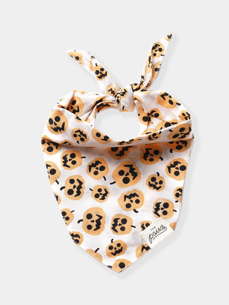      The-Paws-bandana-pour-chien-pumpkin-citrouille-halloween