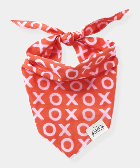 The-Paws-bandana-pour-chien-saint-valentin-xo-xo