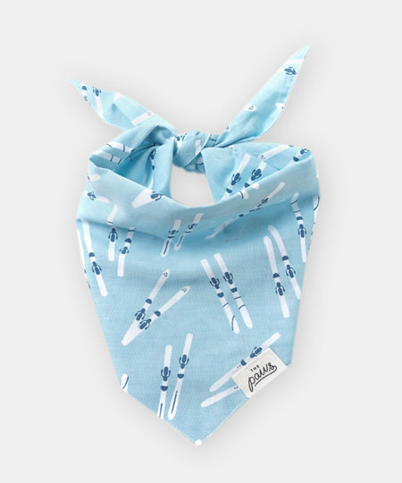 The-Paws-bandana-pour-chien-ski-hiver