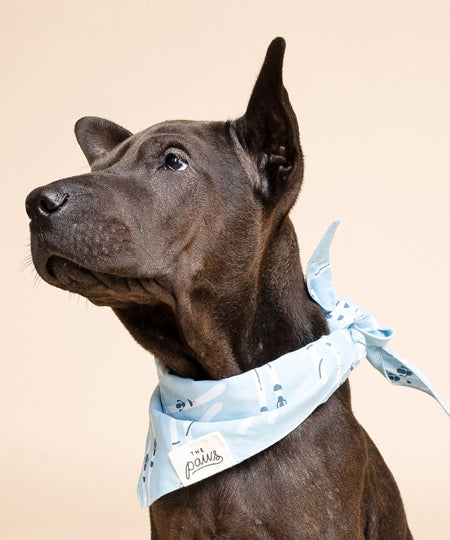 The-Paws-bandana-pour-chien-ski-hiver