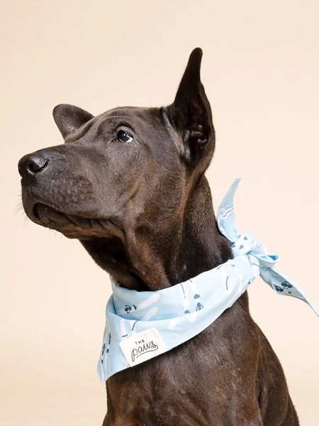 The-Paws-bandana-pour-chien-ski-hiver